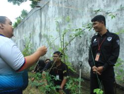 Ketahanan Pangan LPKA Batam: Penanaman Bibit Cabe, Kacang Panjang, dan Pepaya