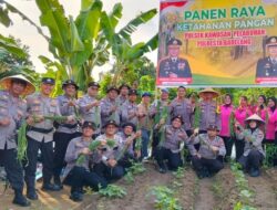 Wujudkan Swasembada Pangan, Polsek KKP Panen Raya di Kebun Ketahanan Pangan