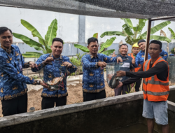 Dukung Ketahanan Pangan Nasional, Lapas Batam Panen Ikan Nila