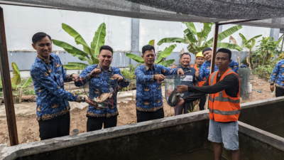 Dukung Ketahanan Pangan Nasional, Lapas Batam Panen Ikan Nila